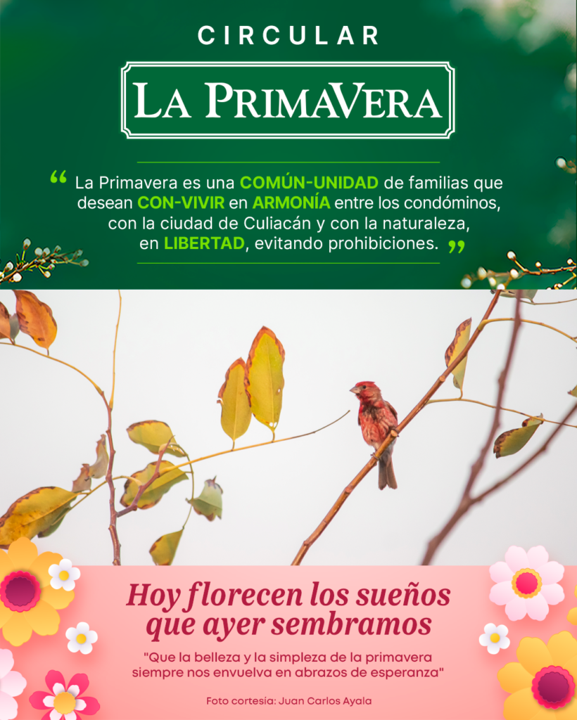 PortadaWeb8Marzo